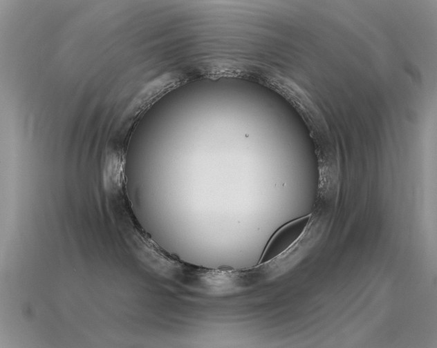 X0000115770142200911131224