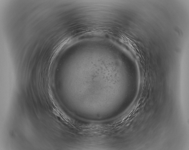 X0000115770145200911131224