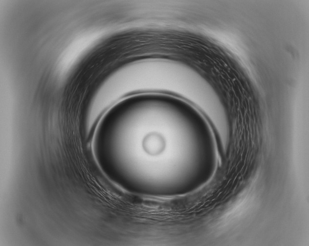 X0000115770146200911131224