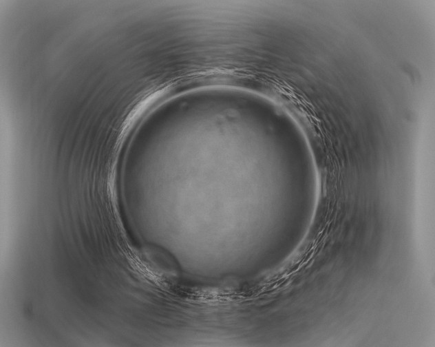 X0000115770147200911131224