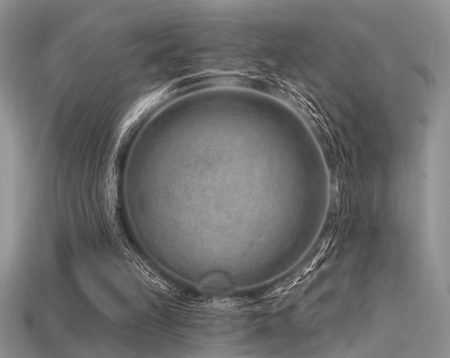 X0000115770149200911131224