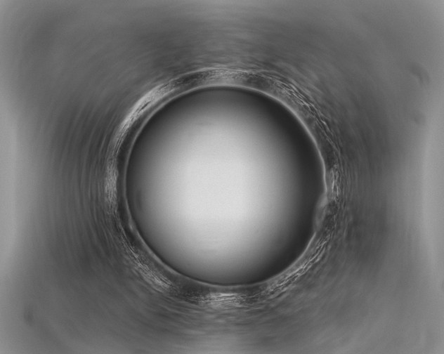X0000115770150200911131224
