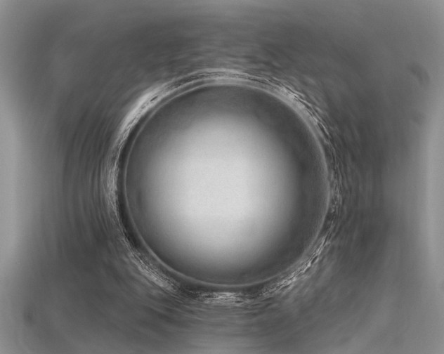 X0000115770151200911131224