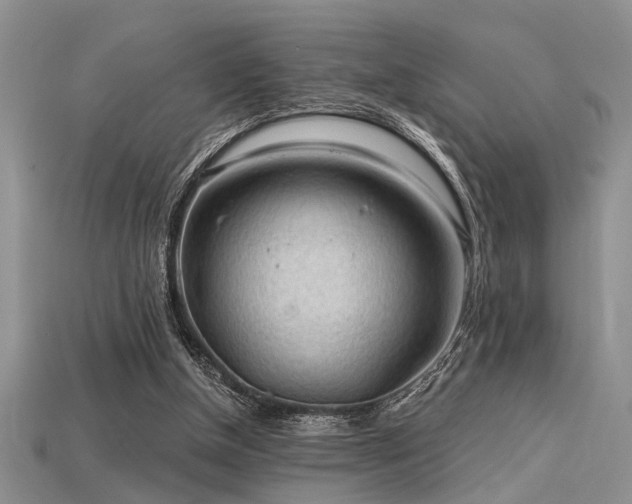 X0000115770154200911131224