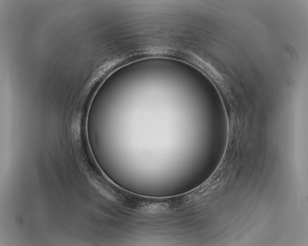 X0000115770155200911131224