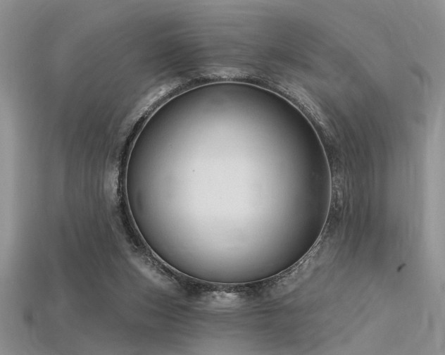 X0000115770159200911131224