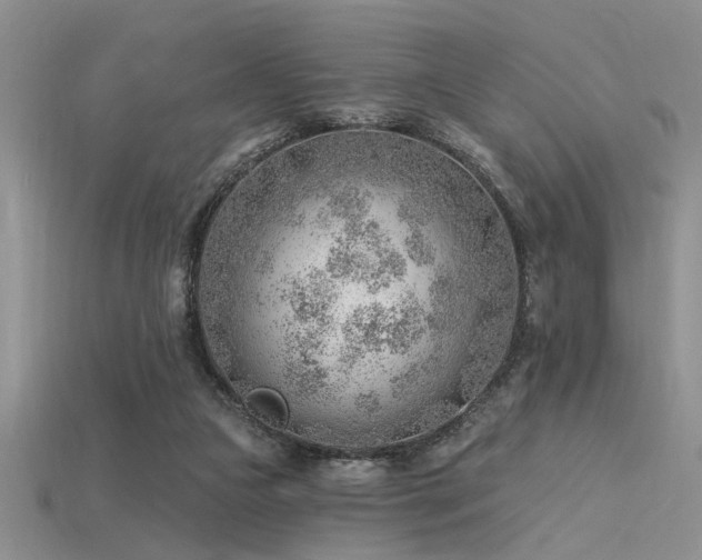 X0000115770161200911131224