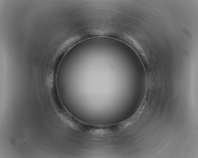 X0000115770163200911131224