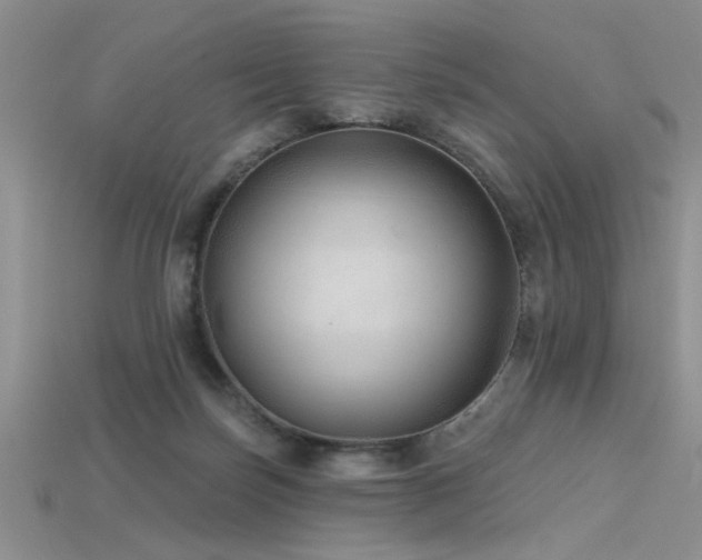 X0000115770171200911131224