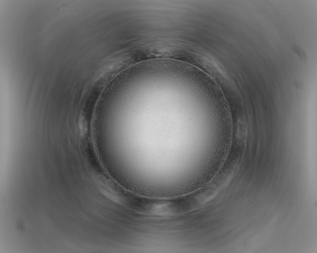 X0000115770173200911131224