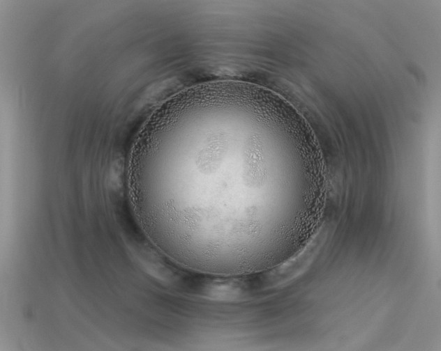X0000115770175200911131224