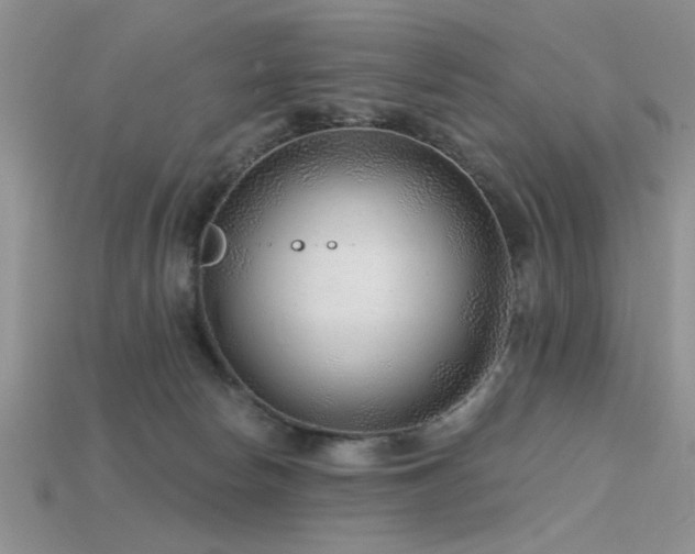 X0000115770178200911131224