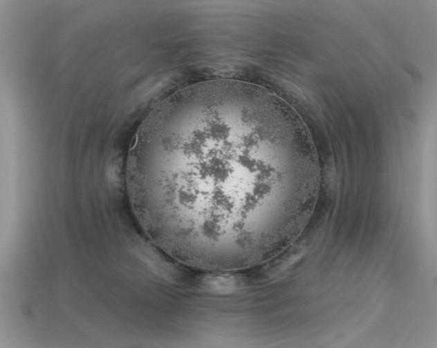 X0000115770181200911131224