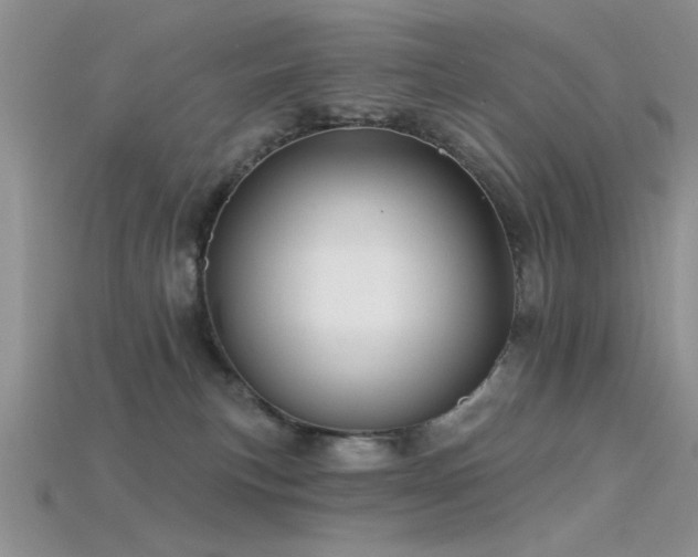 X0000115770183200911131224