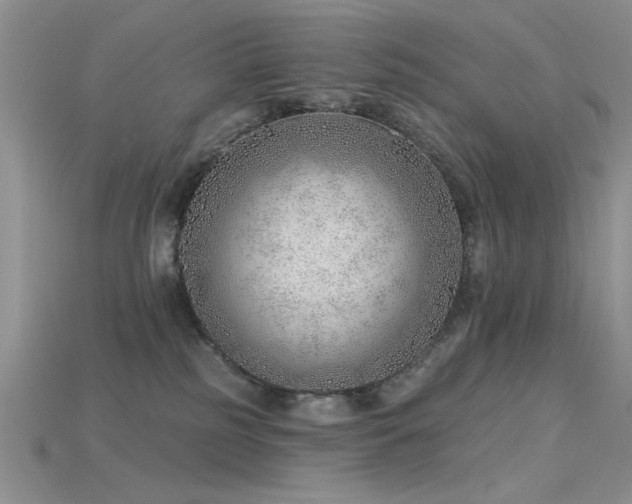 X0000115770185200911131224