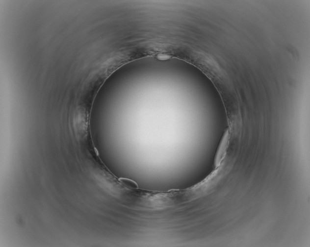 X0000115770186200911131224