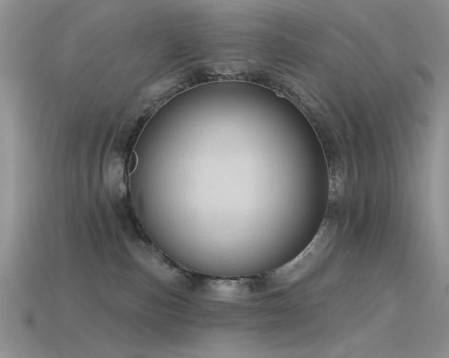 X0000115770187200911131224