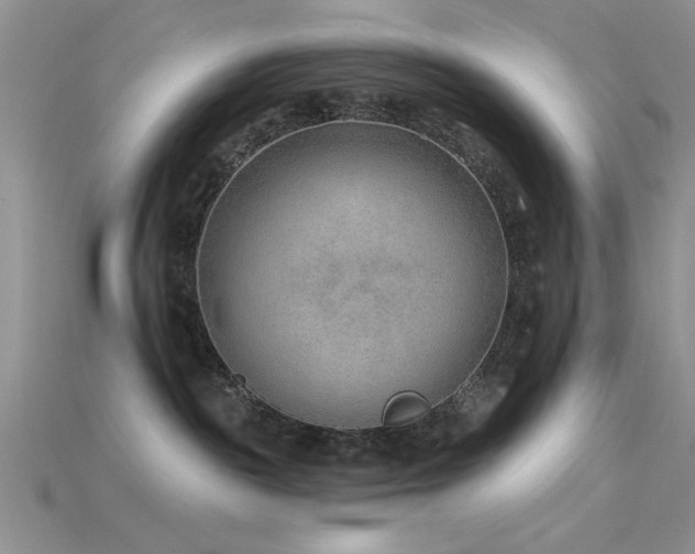 X0000115770189200911131224