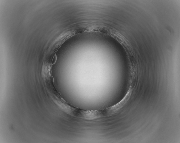 X0000115770191200911131224