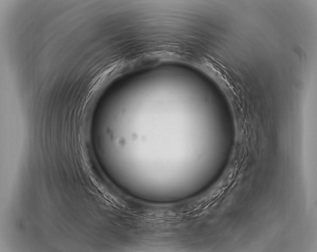 X0000115770193200911131224