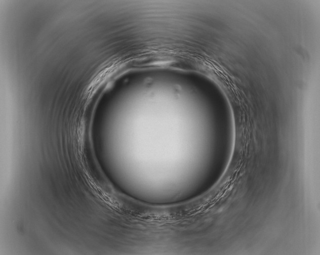 X0000115770194200911131224