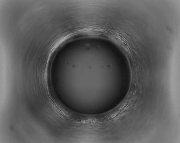 X0000115770196200911131224