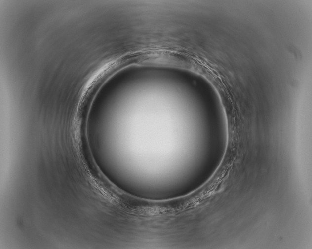X0000115770197200911131224