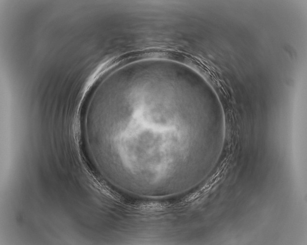 X0000115770198200911131224