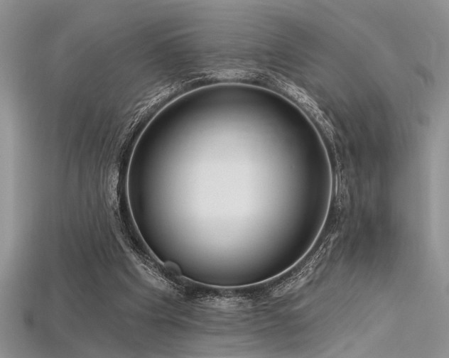 X0000115770201200911131224