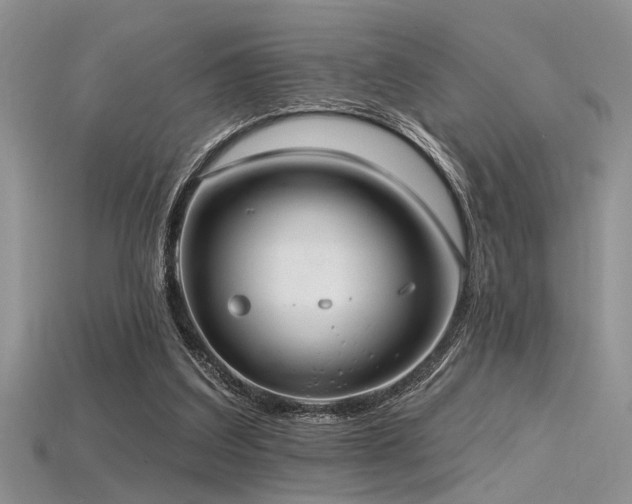 X0000115770203200911131224