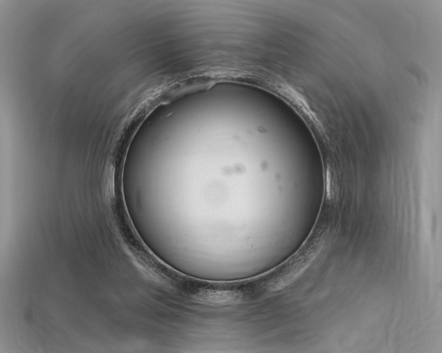 X0000115770205200911131224