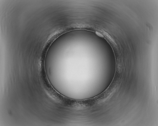 X0000115770207200911131224