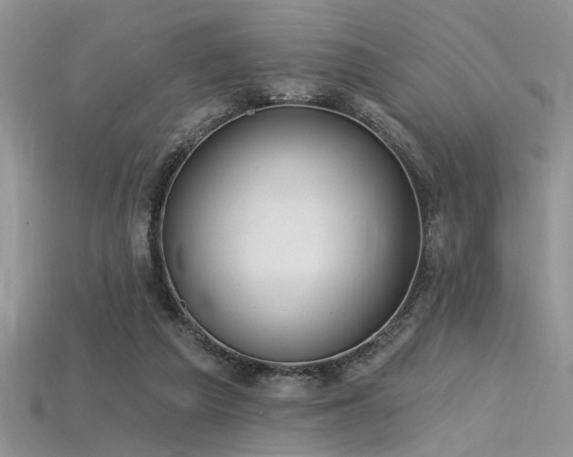 X0000115770209200911131224