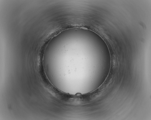 X0000115770211200911131224