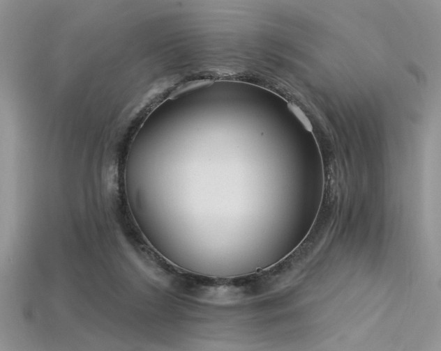 X0000115770212200911131224