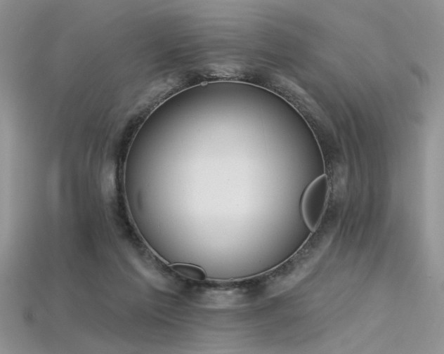 X0000115770213200911131224
