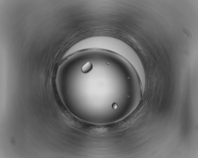 X0000115770217200911131224