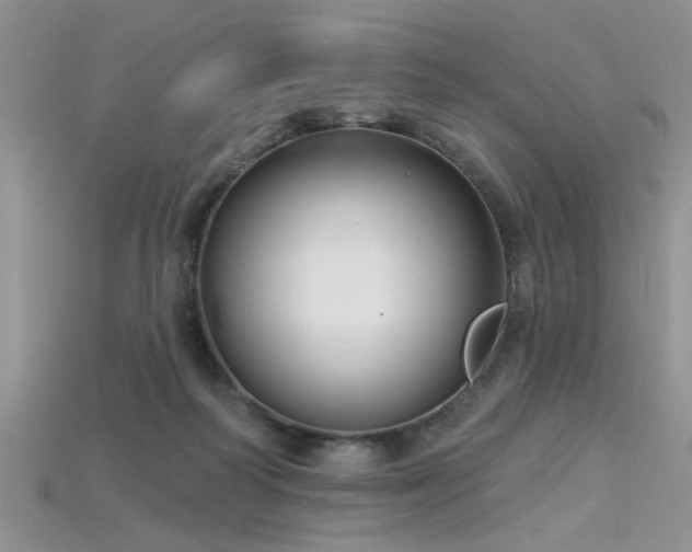 X0000115770218200911131224