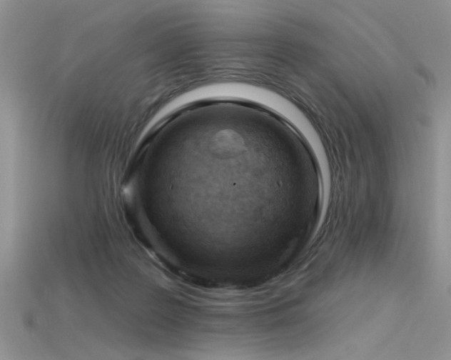 X0000115770219200911131223
