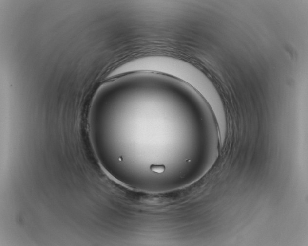 X0000115770221200911131223