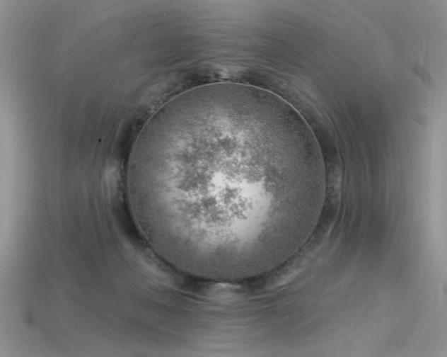 X0000115770222200911131223