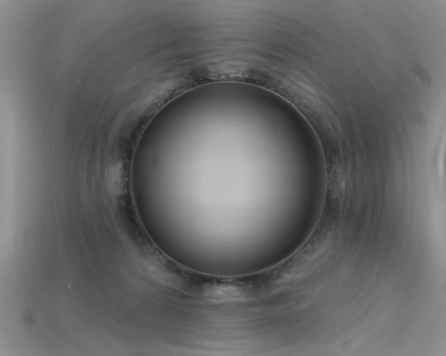 X0000115770224200911131223
