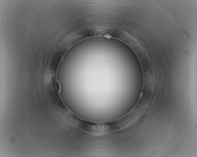 X0000115770225200911131223