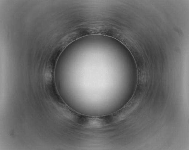 X0000115770226200911131223