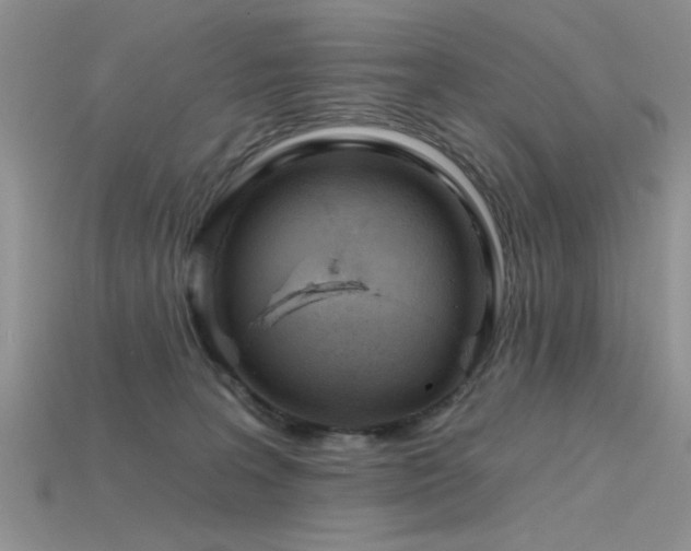 X0000115770227200911131223