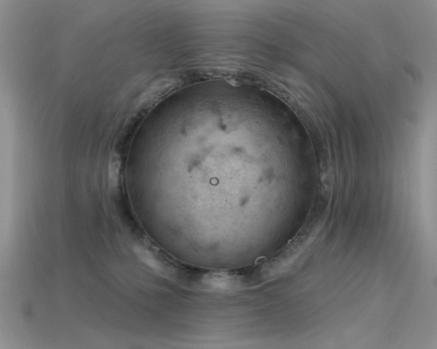 X0000115770231200911131223