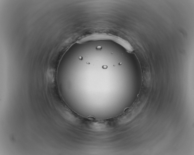 X0000115770232200911131223