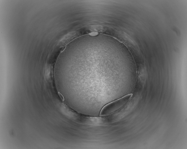 X0000115770233200911131223