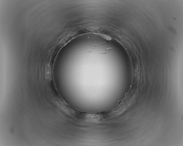X0000115770234200911131223
