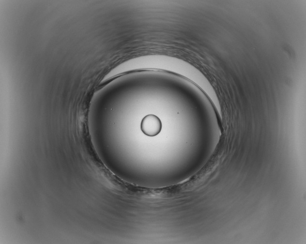 X0000115770235200911131223